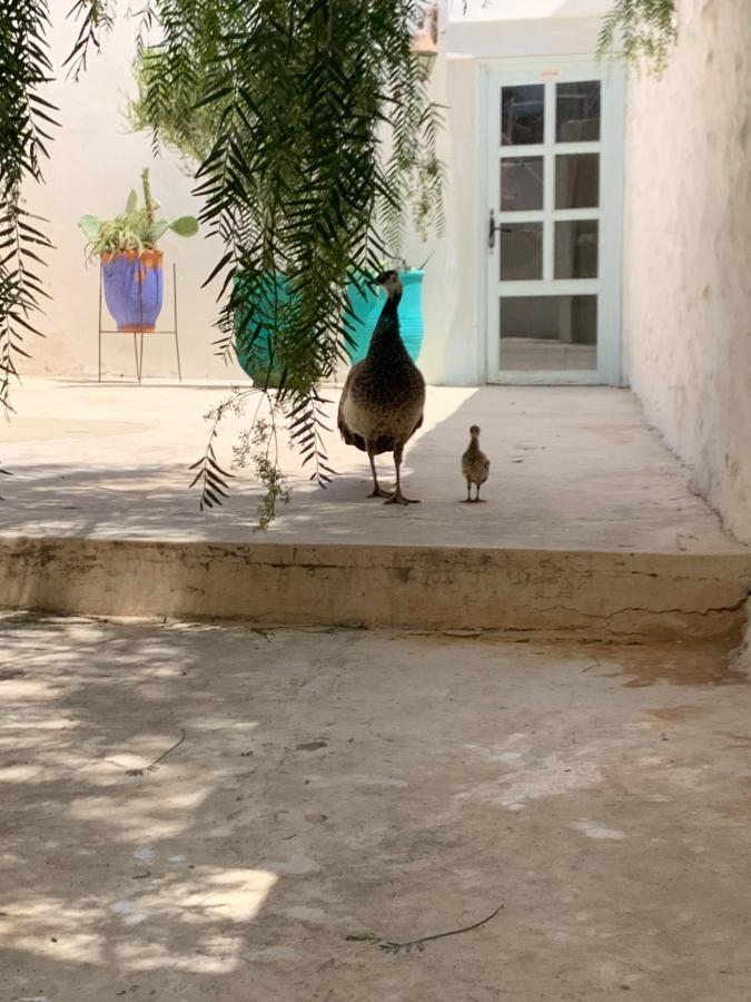 Suite Beldi, La Maison Des Paons Sidi Kaouki Eksteriør bilde