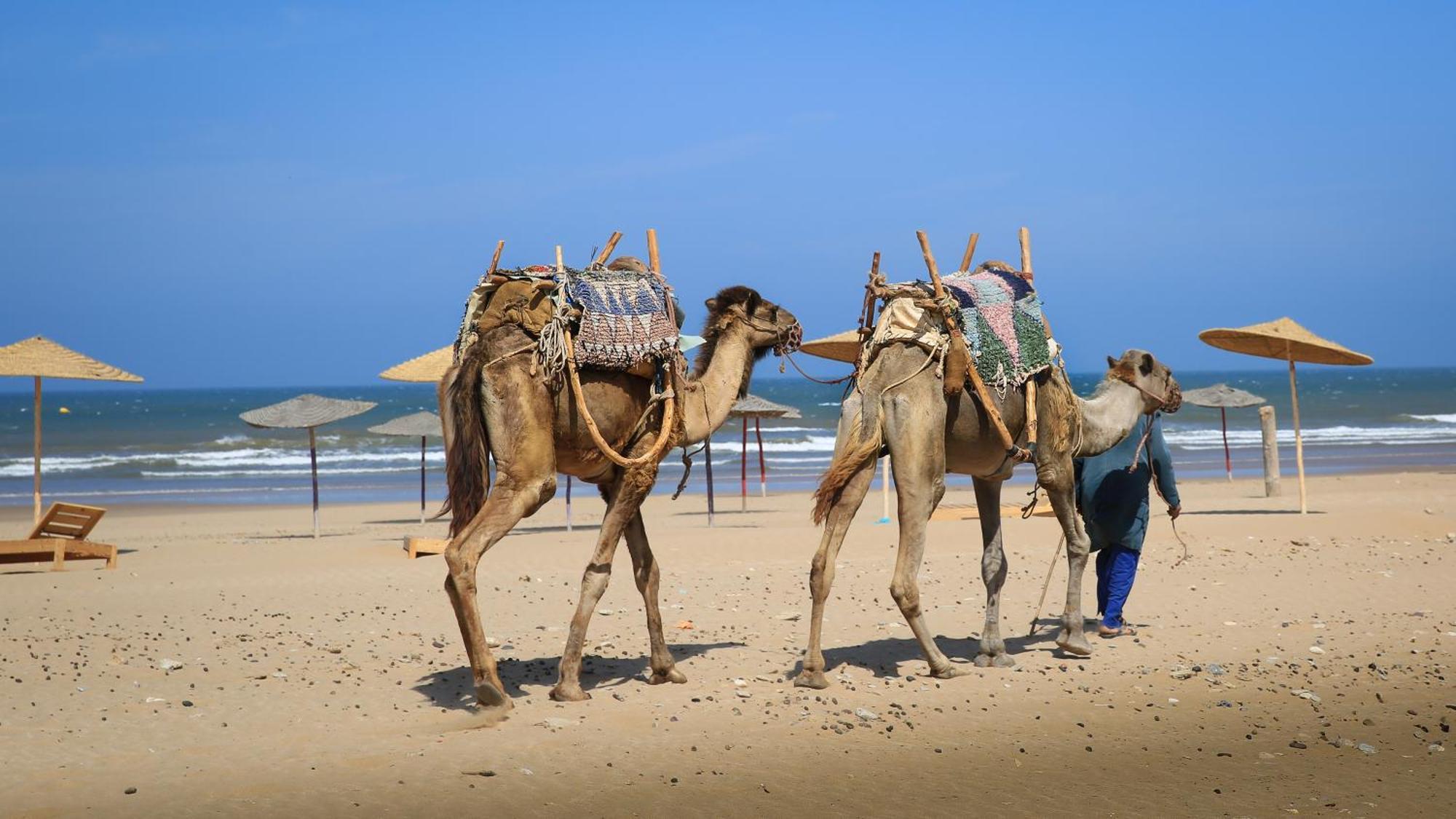Suite Beldi, La Maison Des Paons Sidi Kaouki Eksteriør bilde